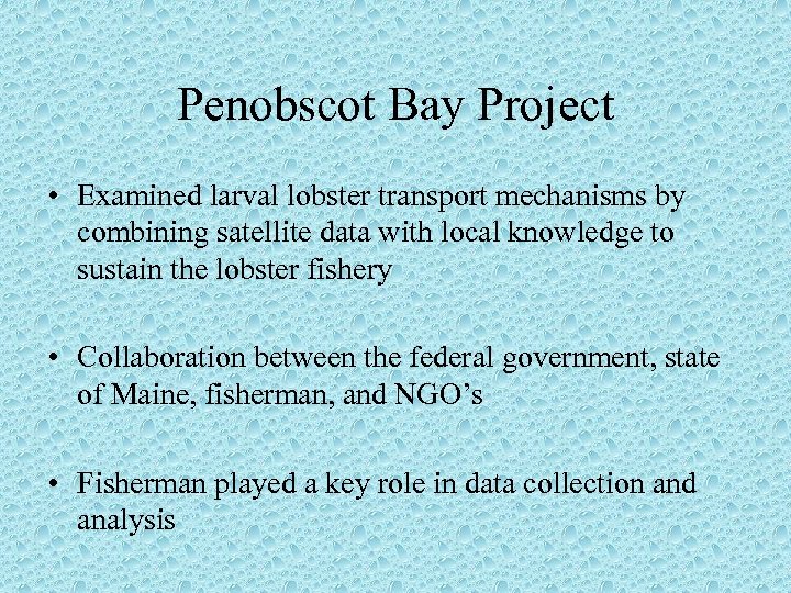 Penobscot Bay Project • Examined larval lobster transport mechanisms by combining satellite data with