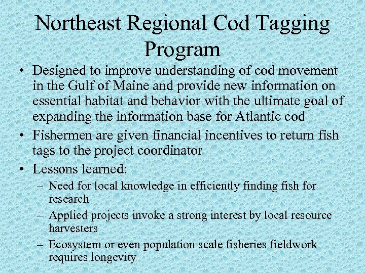 Northeast Regional Cod Tagging Program • Designed to improve understanding of cod movement in