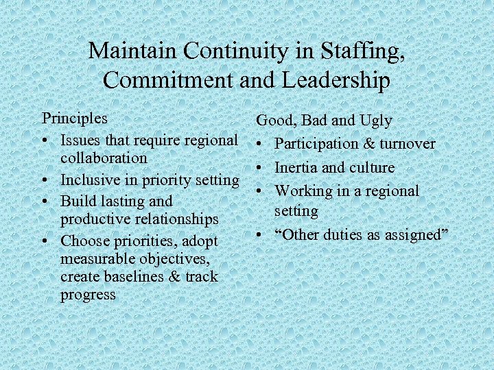 Maintain Continuity in Staffing, Commitment and Leadership Principles • Issues that require regional collaboration