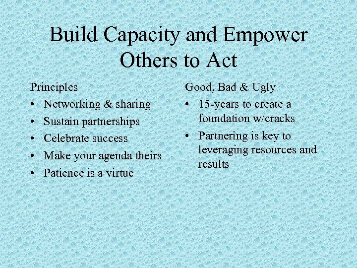 Build Capacity and Empower Others to Act Principles • Networking & sharing • Sustain