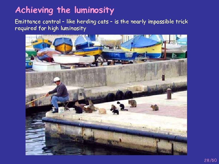 Achieving the luminosity Emittance control – like herding cats – is the nearly impossible