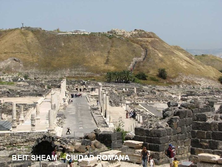 BEIT SHEAM – CIUDAD ROMANA 
