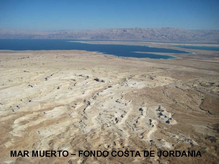 MAR MUERTO – FONDO COSTA DE JORDANIA 