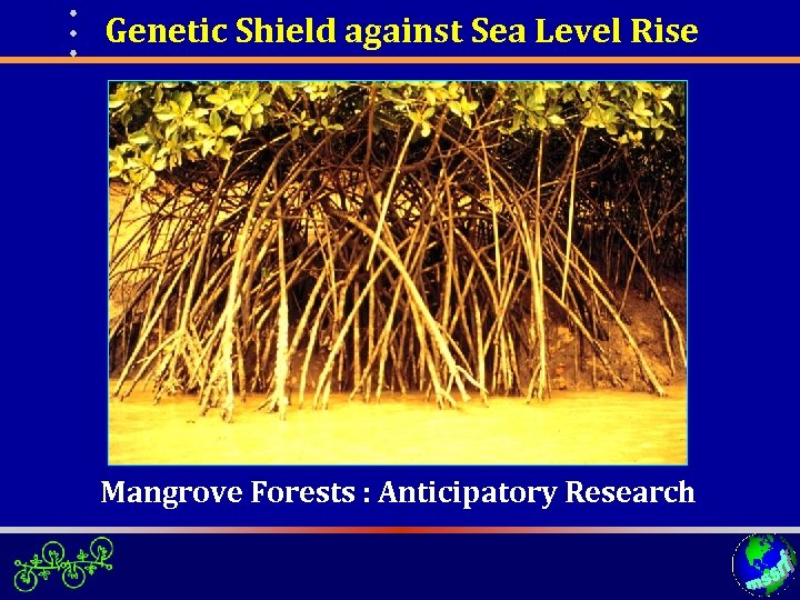 Genetic Shield against Sea Level Rise Mangrove Forests : Anticipatory Research 