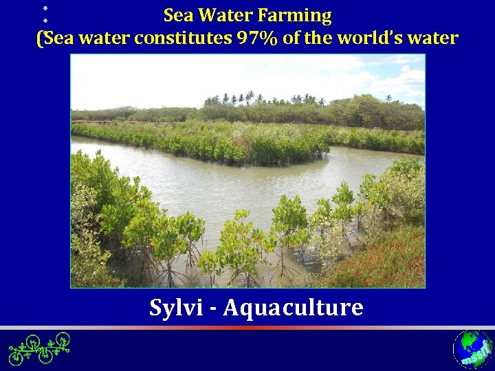 Sea Water Farming (Sea water constitutes 97% of the world’s water resource) Sylvi -