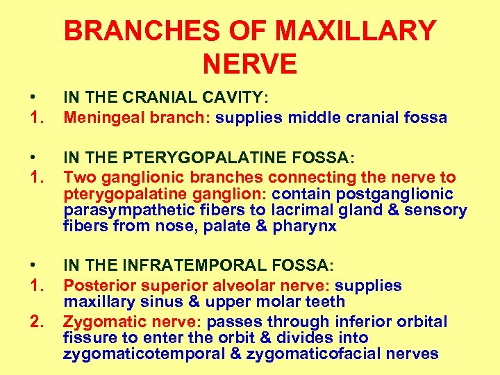 BRANCHES OF MAXILLARY NERVE • 1. IN THE CRANIAL CAVITY: Meningeal branch: supplies middle