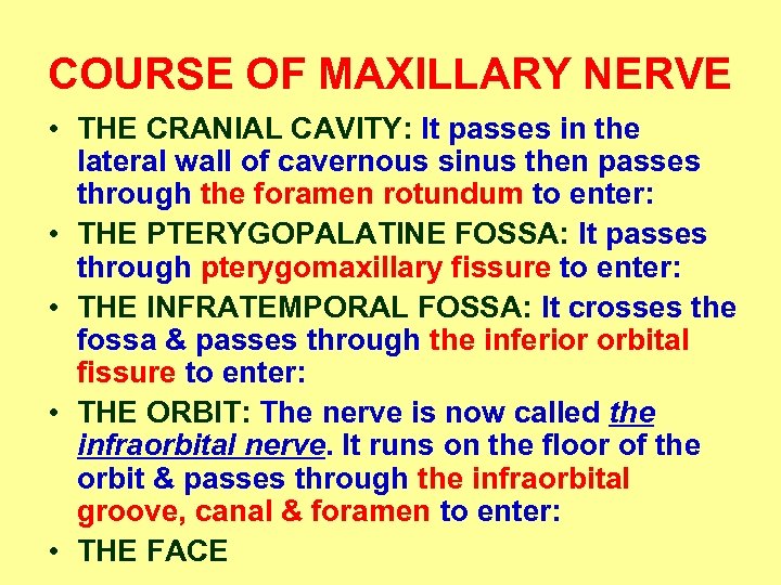 COURSE OF MAXILLARY NERVE • THE CRANIAL CAVITY: It passes in the lateral wall
