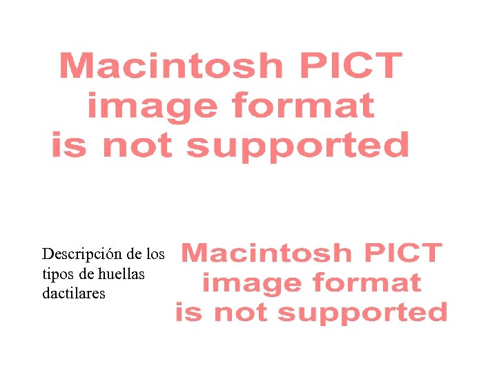 Descripción de los tipos de huellas dactilares 