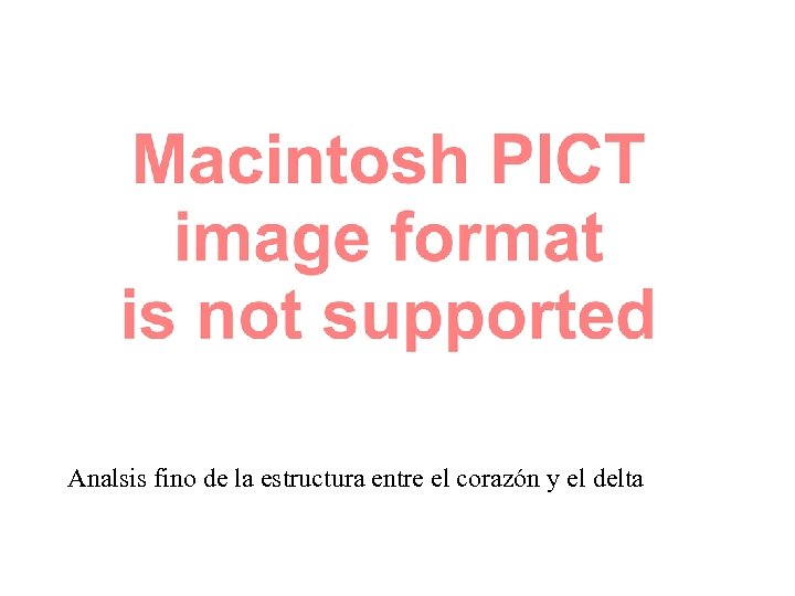 Analsis fino de la estructura entre el corazón y el delta 