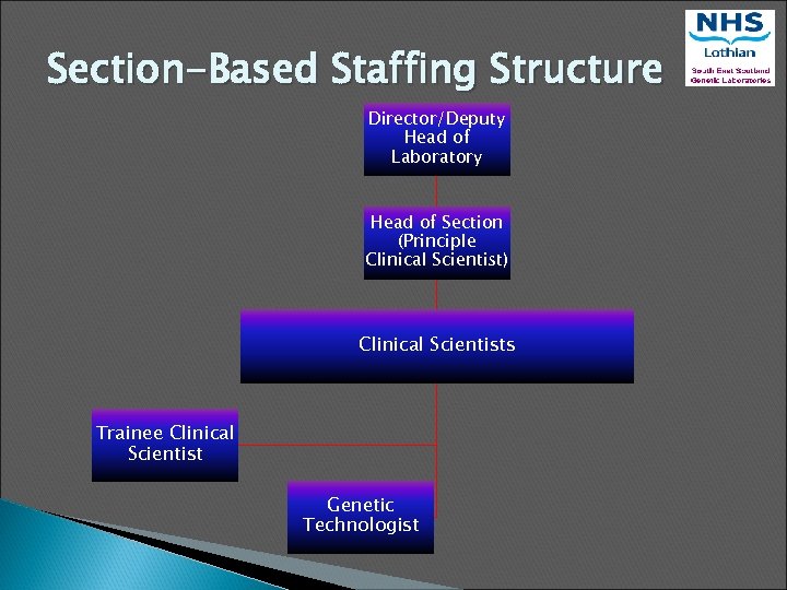 Section-Based Staffing Structure Director/Deputy Head of Laboratory Head of Section (Principle Clinical Scientist) Clinical