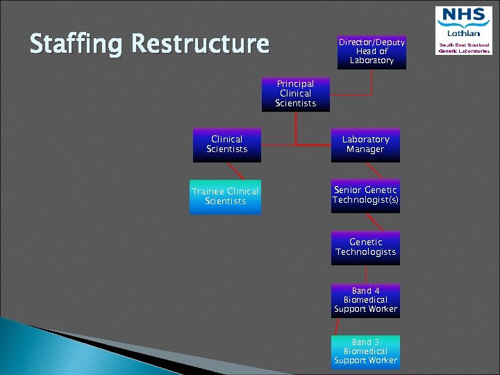 Staffing Restructure Director/Deputy Head of Laboratory Principal Clinical Scientists Laboratory Manager Trainee Clinical Scientists
