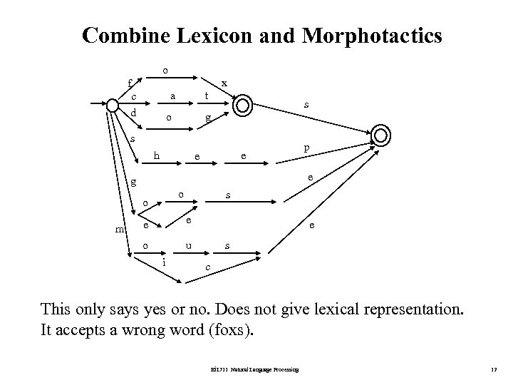 Combine Lexicon and Morphotactics o x f a t o c d g s