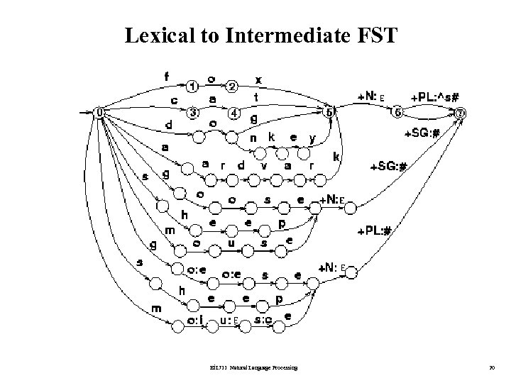 Lexical to Intermediate FST BİL 711 Natural Language Processing 20 