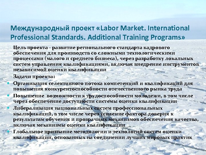 Международный проект «Labor Market. International Professional Standards. Additional Training Programs» Цель проекта - развитие