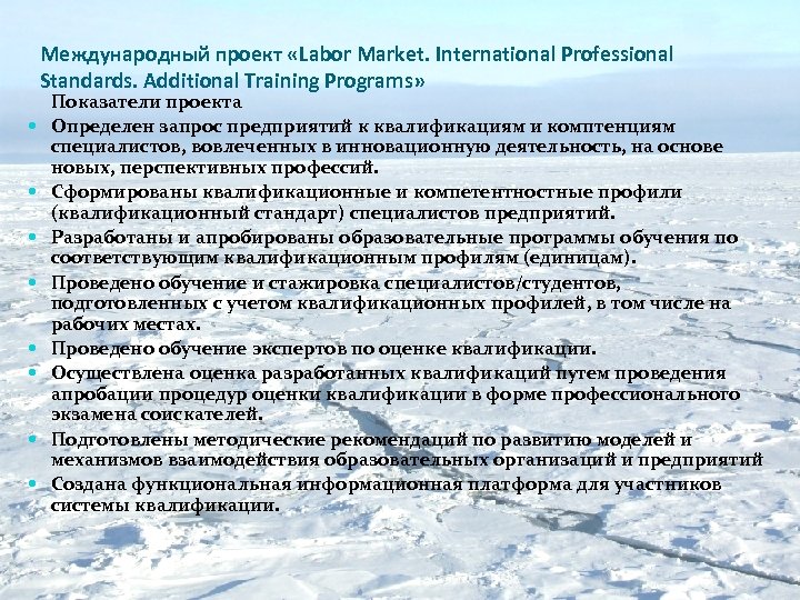 Международный проект «Labor Market. International Professional Standards. Additional Training Programs» Показатели проекта Определен запрос
