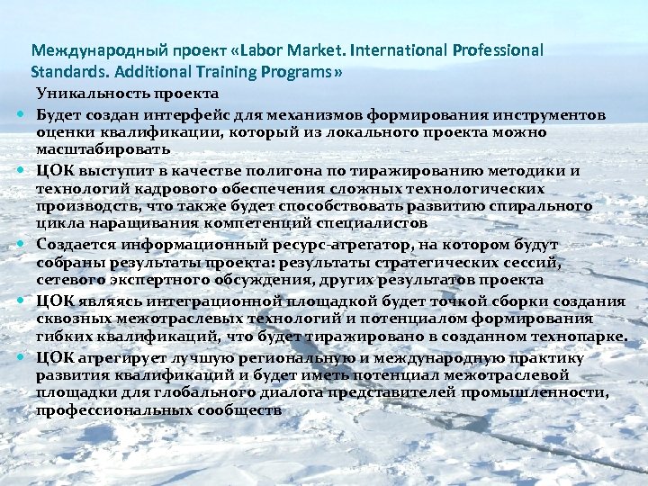 Международный проект «Labor Market. International Professional Standards. Additional Training Programs» Уникальность проекта Будет создан