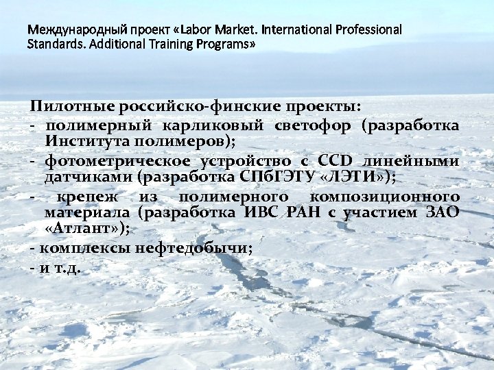 Международный проект «Labor Market. International Professional Standards. Additional Training Programs» Пилотные российско-финские проекты: -