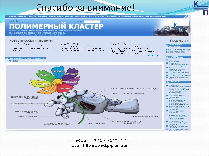 Спасибо за внимание! Тел/Факс: 542 -15 -21/ 542 -71 -48 Сайт: http: //www. kp-plant.