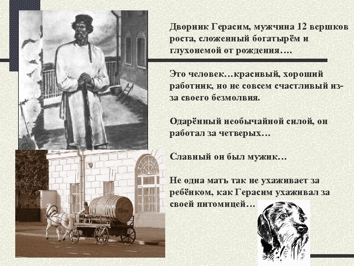 Дворник Герасим, мужчина 12 вершков роста, сложенный богатырём и глухонемой от рождения…. Это человек…красивый,