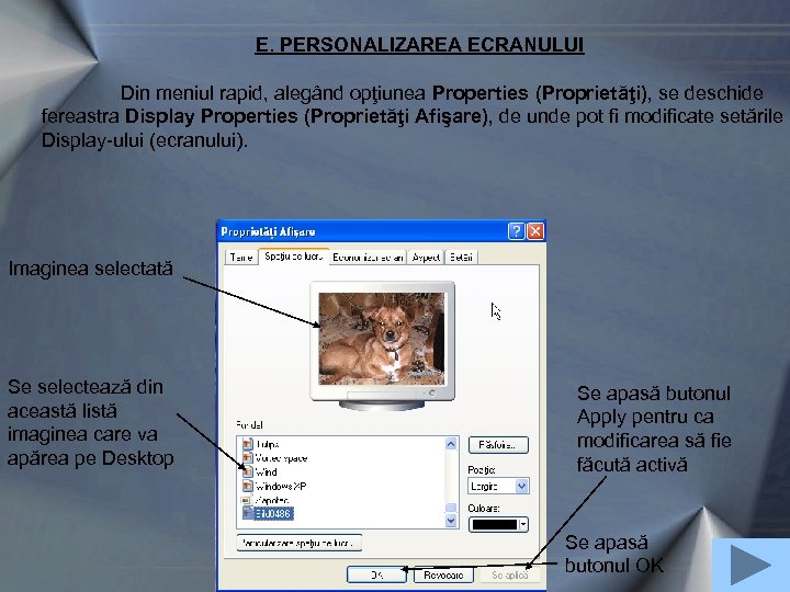 E. PERSONALIZAREA ECRANULUI Din meniul rapid, alegând opţiunea Properties (Proprietăţi), se deschide fereastra Display