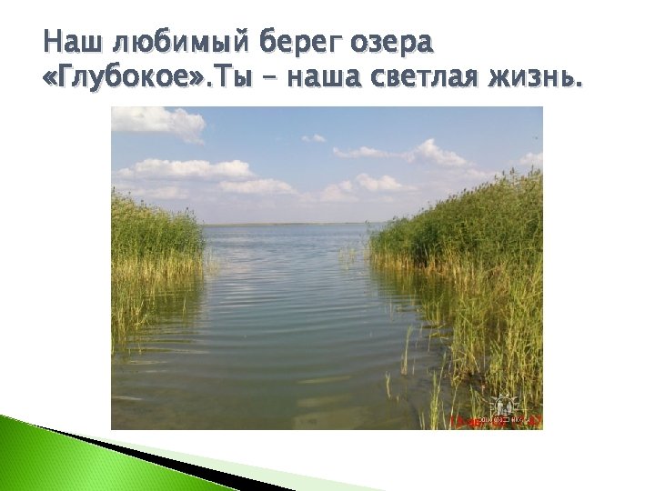 Наш любимый берег озера «Глубокое» . Ты – наша светлая жизнь. 