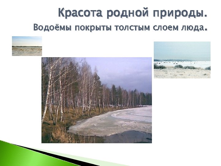Красота родной природы. Водоёмы покрыты толстым слоем люда. 