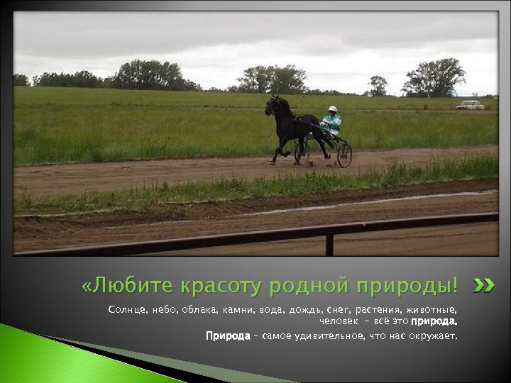  «Любите красоту родной природы! Солнце, небо, облака, камни, вода, дождь, снег, растения, животные,