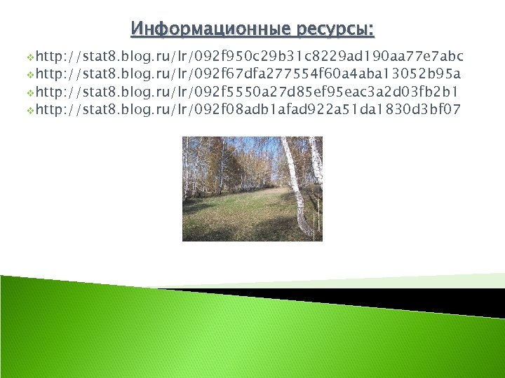 Информационные ресурсы: vhttp: //stat 8. blog. ru/lr/092 f 950 c 29 b 31 c