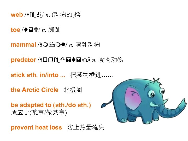 web /web/ n. (动物的)蹼 toe /t=U/ n. 脚趾 mammal /'m 7 ml/ n. 哺乳动物