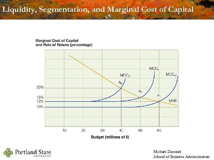 Liquidity, Segmentation, and Marginal Cost of Capital Michael Dimond School of Business Administration 
