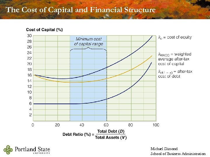 The Cost of Capital and Financial Structure Michael Dimond School of Business Administration 