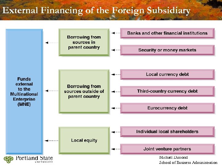 External Financing of the Foreign Subsidiary Michael Dimond School of Business Administration 