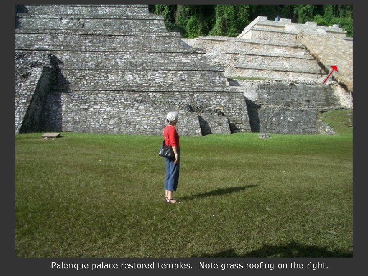 Palenque palace restored temples. Note grass roofing on the right. 