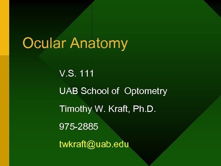 Ocular Anatomy V. S. 111 UAB School of Optometry Timothy W. Kraft, Ph. D.