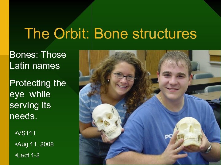 The Orbit: Bone structures Bones: Those Latin names Protecting the eye while serving its