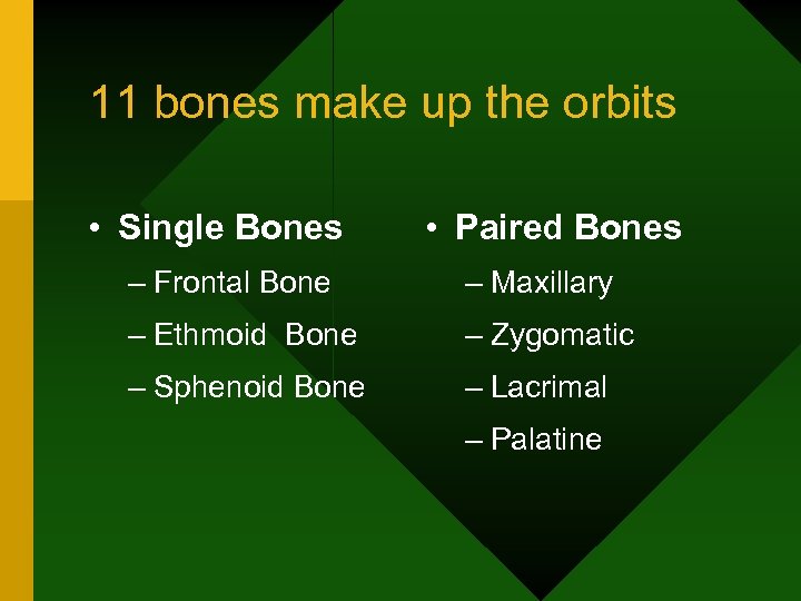 11 bones make up the orbits • Single Bones • Paired Bones – Frontal