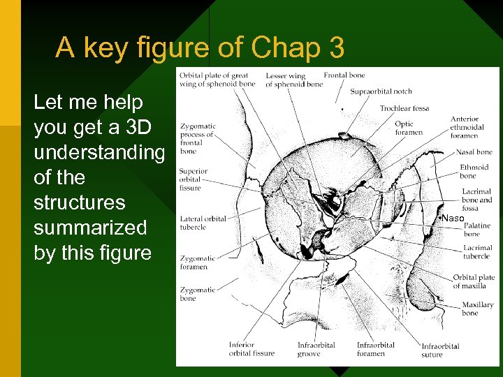 A key figure of Chap 3 Let me help you get a 3 D