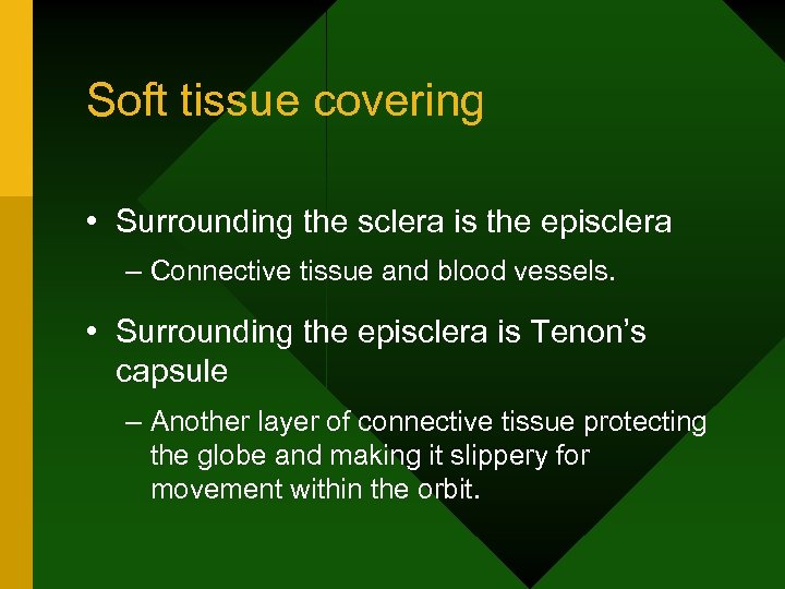 Soft tissue covering • Surrounding the sclera is the episclera – Connective tissue and