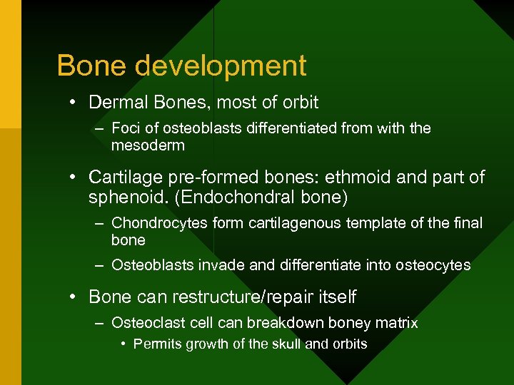 Bone development • Dermal Bones, most of orbit – Foci of osteoblasts differentiated from