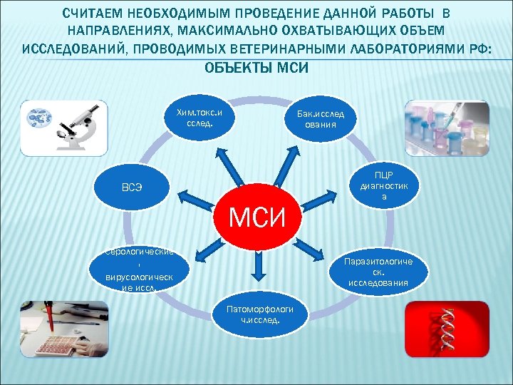 СЧИТАЕМ НЕОБХОДИМЫМ ПРОВЕДЕНИЕ ДАННОЙ РАБОТЫ В НАПРАВЛЕНИЯХ, МАКСИМАЛЬНО ОХВАТЫВАЮЩИХ ОБЪЕМ ИССЛЕДОВАНИЙ, ПРОВОДИМЫХ ВЕТЕРИНАРНЫМИ ЛАБОРАТОРИЯМИ