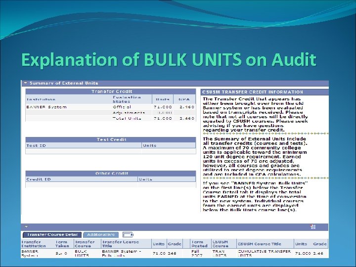 Explanation of BULK UNITS on Audit 