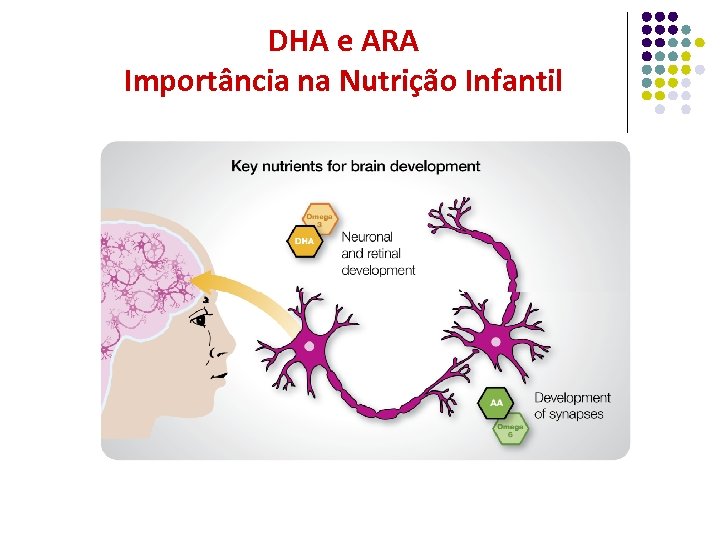 DHA e ARA Importância na Nutrição Infantil 