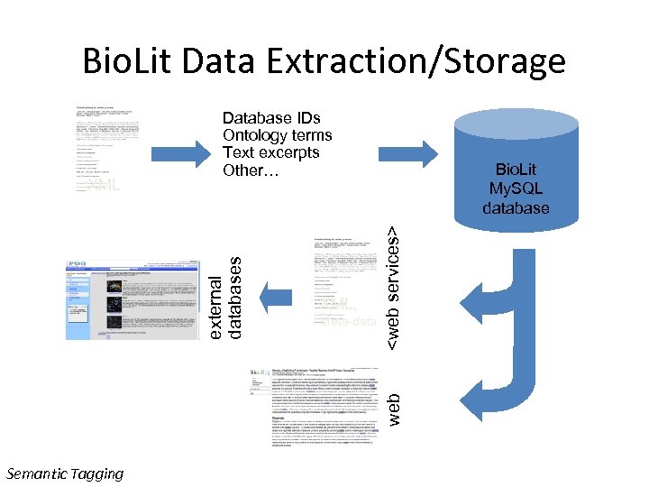 Bio. Lit Data Extraction/Storage Meta-data <web services> XML, Bio. Lit My. SQL database web