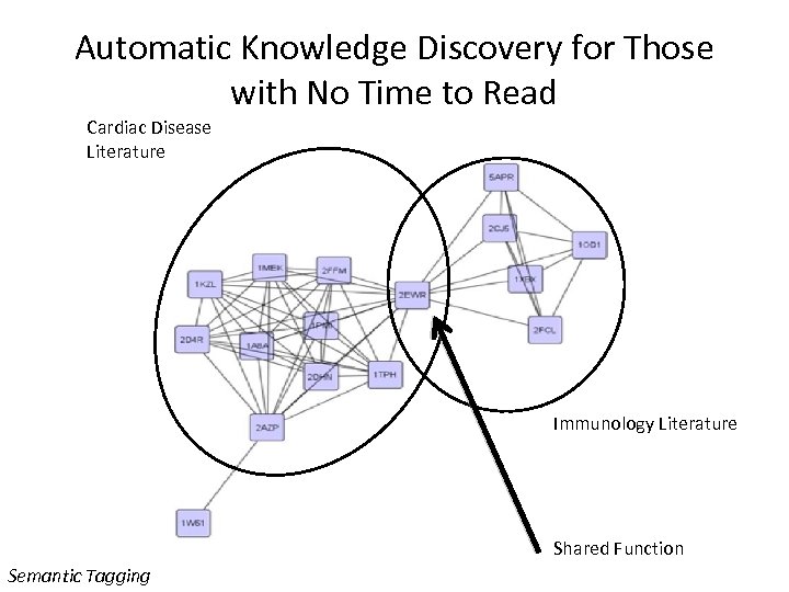 Automatic Knowledge Discovery for Those with No Time to Read Cardiac Disease Literature Immunology