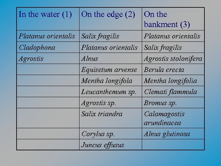 In the water (1) On the edge (2) Platanus orientalis Salix fragilis On the