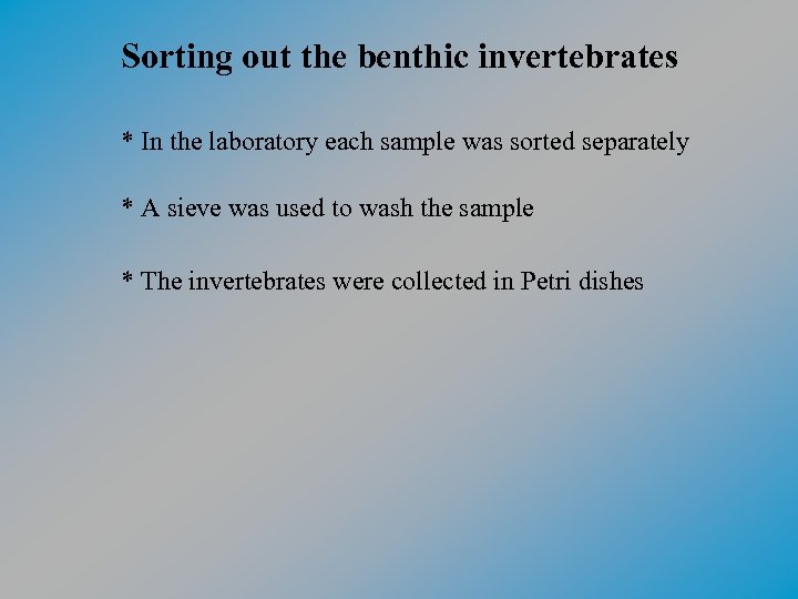 Sorting out the benthic invertebrates * In the laboratory each sample was sorted separately