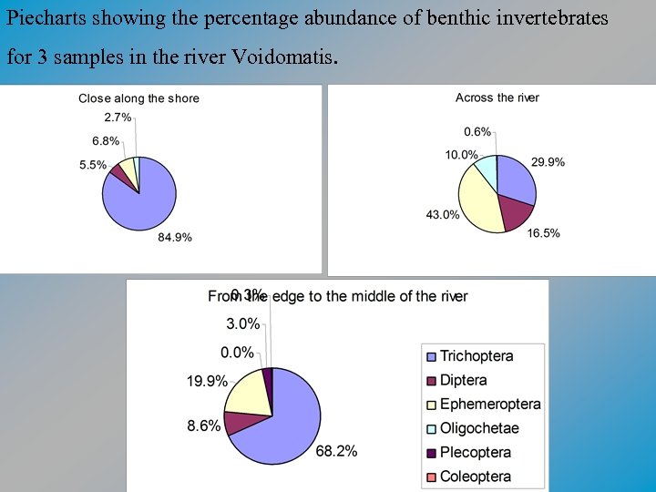 Piecharts showing the percentage abundance of benthic invertebrates for 3 samples in the river