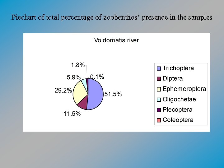 Piechart of total percentage of zoobenthos’ presence in the samples 