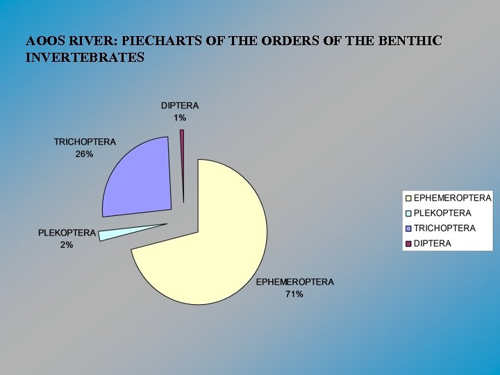 AOOS RIVER: PIECHARTS OF THE ORDERS OF THE BENTHIC INVERTEBRATES 