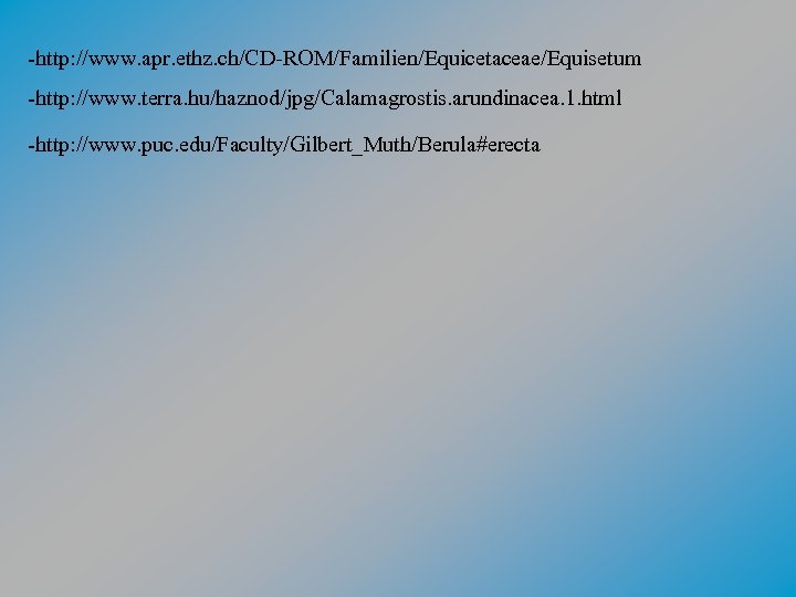 -http: //www. apr. ethz. ch/CD-ROM/Familien/Equicetaceae/Equisetum -http: //www. terra. hu/haznod/jpg/Calamagrostis. arundinacea. 1. html -http: //www.